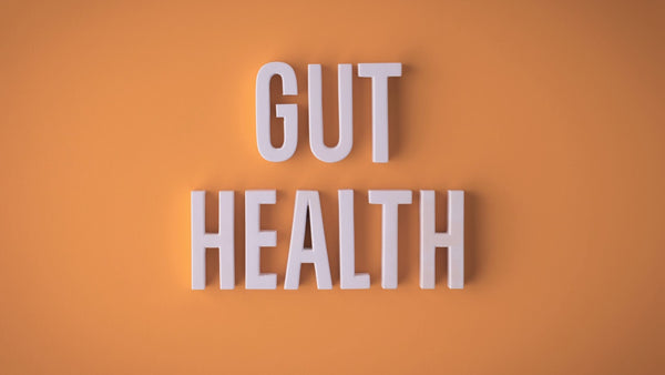 Microbes, Mood & Motivation: The Brain-Gut Paradox Explained