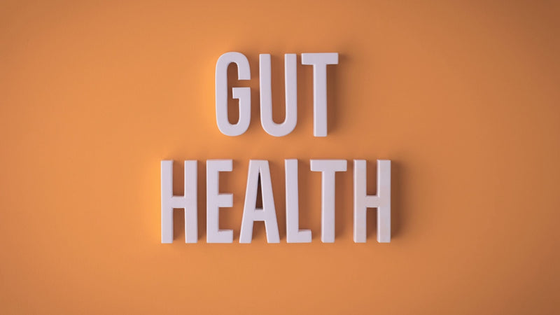 Microbes, Mood & Motivation: The Brain-Gut Paradox Explained