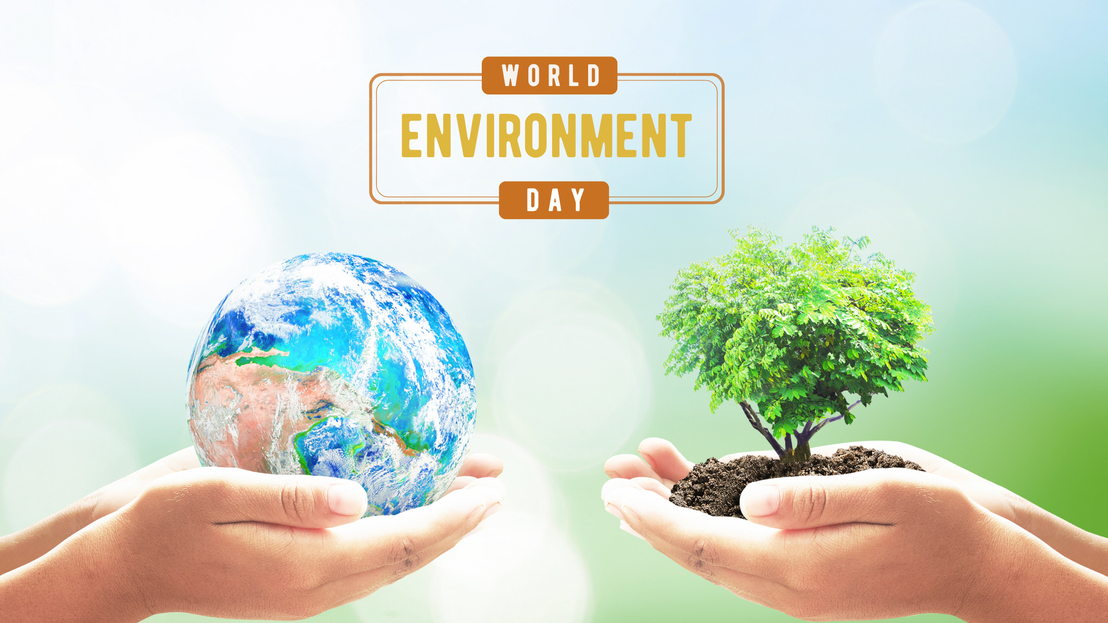 Breathe deep, be well: how the environment impacts your health this Wo