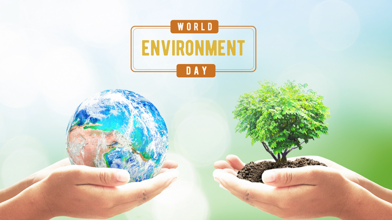 Breathe deep, be well: how the environment impacts your health this World Environment Day