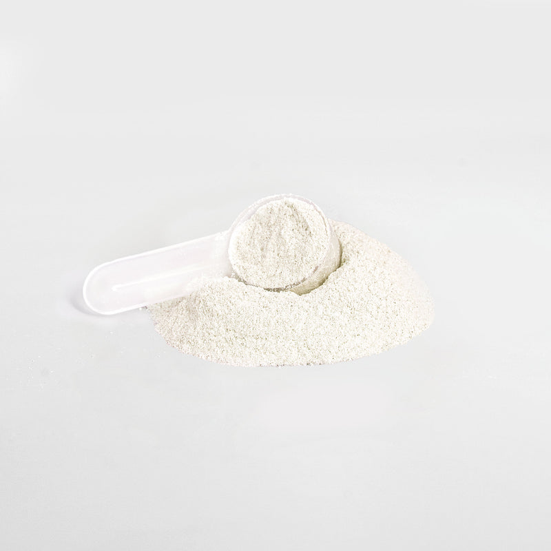 ENERGE-X Pre-Workout Energy Powder (Yuzu Flavor)