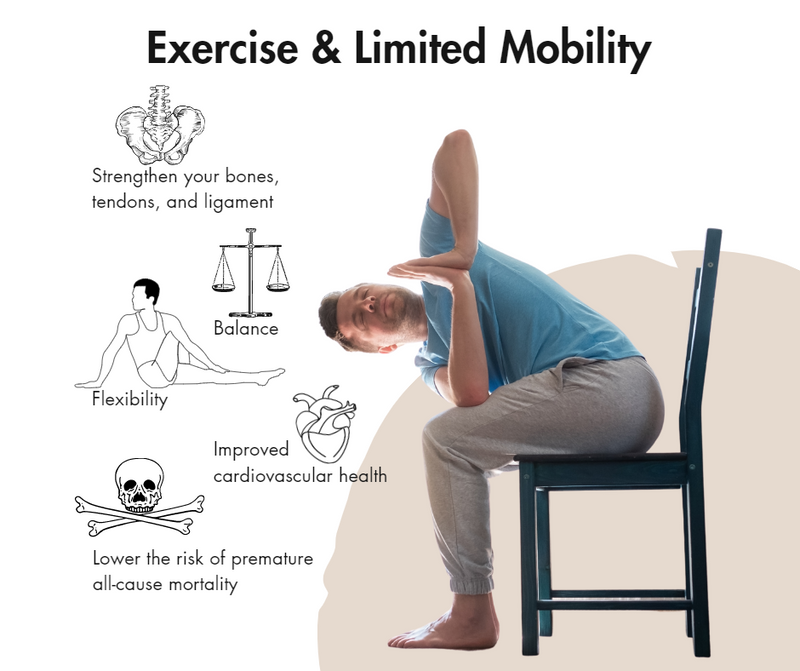 AWP001 Activastic Fitness: trainingsprogramma voor de stoel