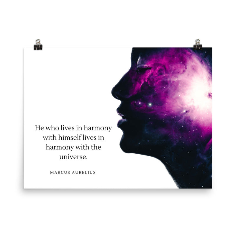 APS001 Harmony Poster 18X24